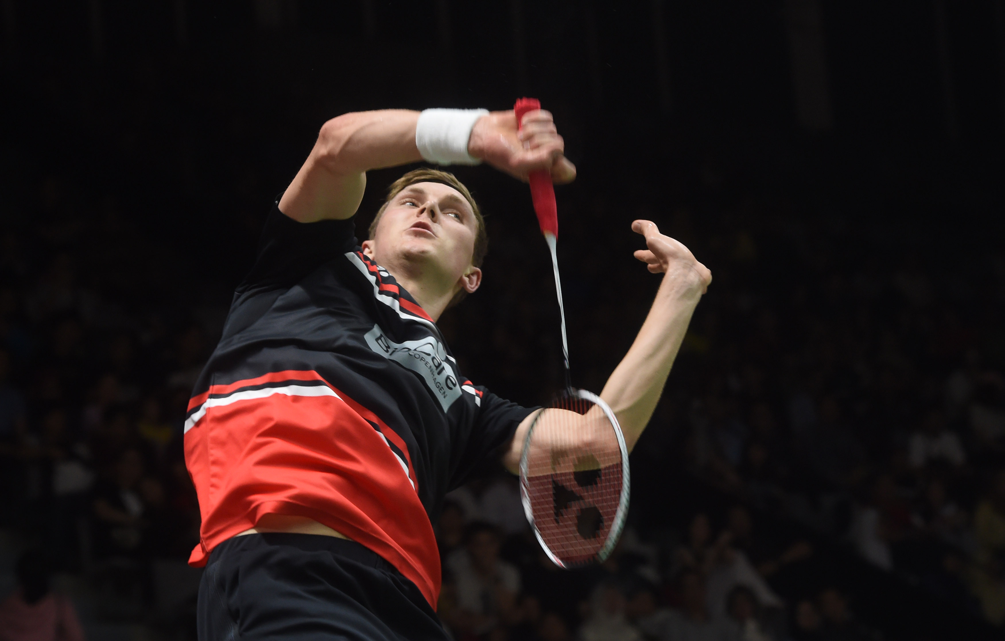 部分粉丝的 部分粉丝的